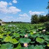 Super ocazie! Vilă de vânzare în Snagov, cu deschidere la lac